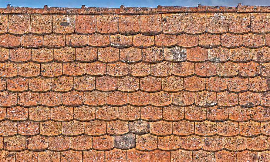 Roof Shingles in Need of Replacement